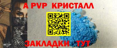 индика Кингисепп