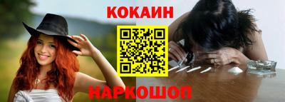 индика Кингисепп