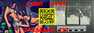 индика Кингисепп