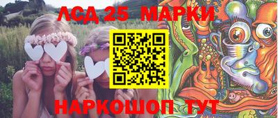 индика Кингисепп