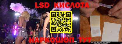 индика Кингисепп