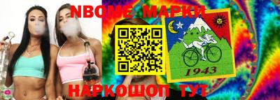 индика Кингисепп