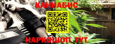 индика Кингисепп