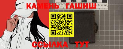 индика Кингисепп
