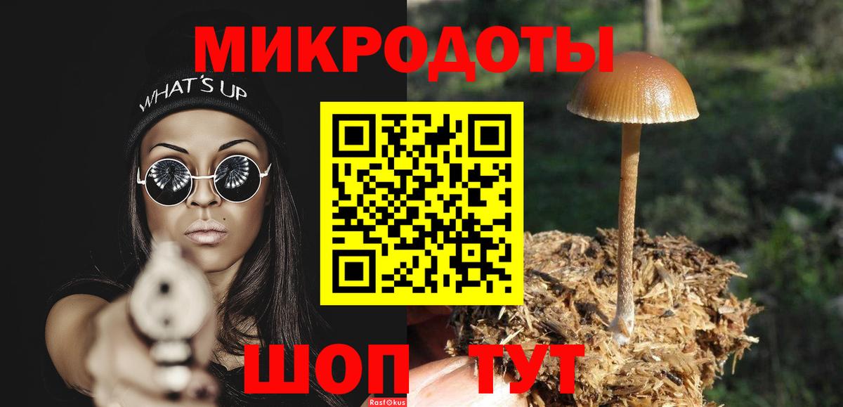 Псилоцибиновые грибы GOLDEN TEACHER  Вход с VPN  Котлас 